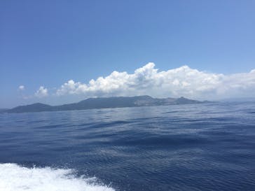 Sea World（シーワールド）に投稿された画像（2017/8/13）