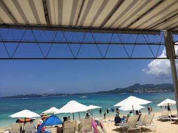 Sea World（シーワールド）に投稿された画像（2017/8/13）