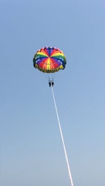 Sea World（シーワールド）に投稿された画像（2017/5/4）