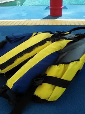 Sea World（シーワールド）に投稿された画像（2015/8/12）