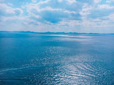 Sea World（シーワールド）に投稿された画像（2017/2/16）