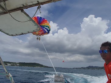 Sea World（シーワールド）に投稿された画像（2015/8/12）