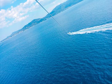 Sea World（シーワールド）に投稿された画像（2017/2/16）