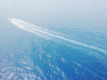 Sea World（シーワールド）に投稿された画像（2017/9/25）