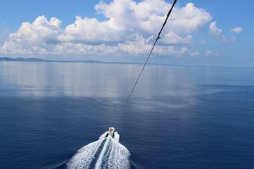 Sea World（シーワールド）に投稿された画像（2017/7/31）