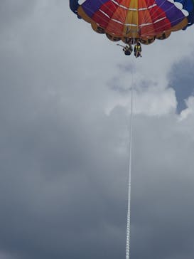 Sea World（シーワールド）に投稿された画像（2015/8/12）