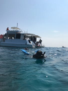 Sea World（シーワールド）に投稿された画像（2017/9/3）