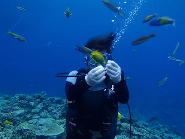 Sea World（シーワールド）に投稿された画像（2016/6/20）