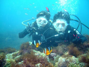 ダイビングスクールジェイズヘブンに投稿された画像（2015/8/15）