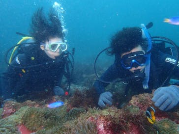 ダイビングスクールジェイズヘブンに投稿された画像（2016/10/9）