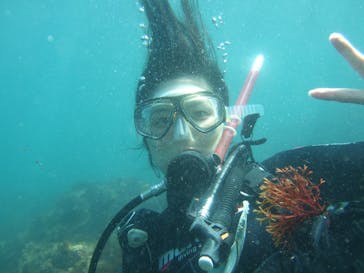 ダイビングスクールジェイズヘブンに投稿された画像（2015/8/12）