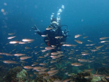 ダイビングスクールジェイズヘブンに投稿された画像（2016/9/8）