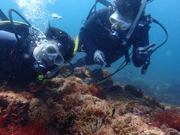 ダイビングスクールジェイズヘブンに投稿された画像（2016/8/7）