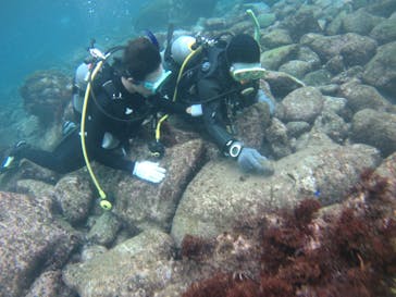 ダイビングショップ オカモトに投稿された画像（2015/9/14）