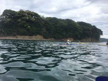 BonnieBay SeaKayak Center（ボニー・ベイ・シーカヤック・センター）に投稿された画像（2017/5/8）