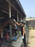 北広島乗馬クラブに投稿された画像（2017/7/2）