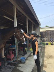 北広島乗馬クラブに投稿された画像（2017/7/1）