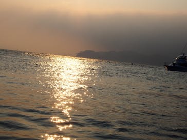 フライフィールド逗子に投稿された画像（2015/8/3）