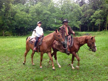 クリオステーブルに投稿された画像（2016/8/28）