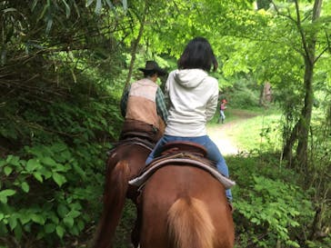 クリオステーブルに投稿された画像（2016/5/10）