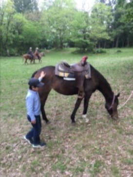 クリオステーブルに投稿された画像（2016/5/2）