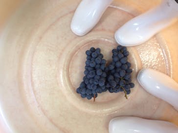 笛吹ワインに投稿された画像（2015/9/13）