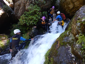 スプラッシュ東京・奥多摩に投稿された画像（2015/7/22）