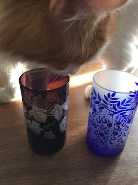 ガラスアトリエSに投稿された画像（2016/7/4）