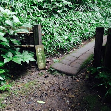 たからの窯に投稿された画像（2015/8/14）