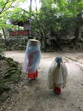 平安衣裳・着物よそおい体験所　みやじま紅葉の賀に投稿された画像（2016/5/4）