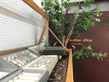 森の彫金教室 goutte dor（グートドール）に投稿された画像（2017/4/30）