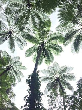 アイランドサービスに投稿された画像（2017/3/5）