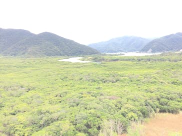 アイランドサービスに投稿された画像（2017/3/5）