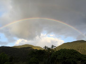 アイランドサービスに投稿された画像（2016/12/26）