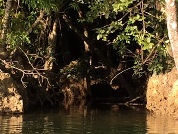 アイランドサービスに投稿された画像（2016/12/26）