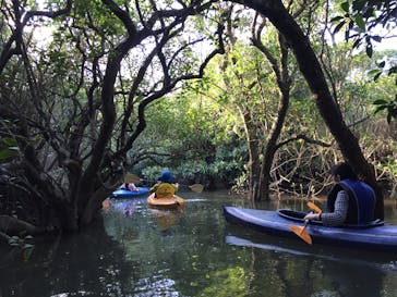 アイランドサービスに投稿された画像（2016/12/26）