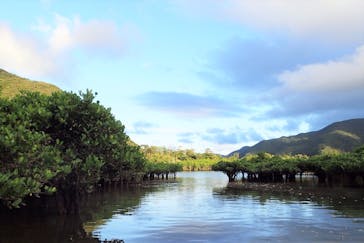 アイランドサービスに投稿された画像（2017/9/5）