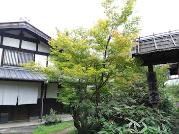 虎渓窯に投稿された画像（2017/8/25）