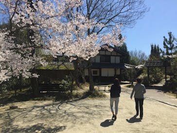 虎渓窯に投稿された画像（2015/3/27）