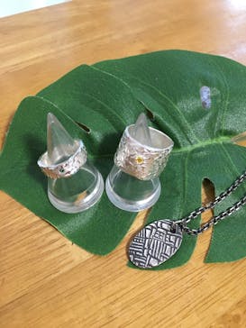 銀のイルカに投稿された画像（2017/9/24）