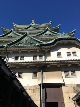 スタジオバクザウルスに投稿された画像（2017/6/10）