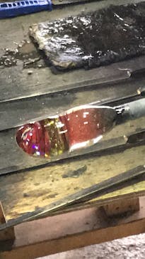 スタジオバクザウルスに投稿された画像（2017/8/3）