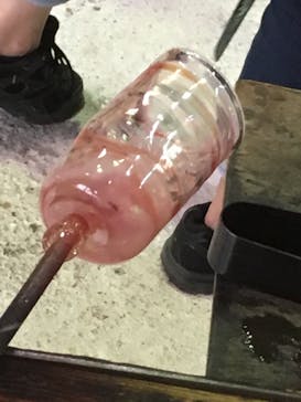 スタジオバクザウルスに投稿された画像（2017/7/9）