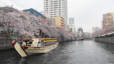 京浜フェリーボートに投稿された画像（2016/4/7）