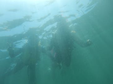 ヘイズダイブに投稿された画像（2017/8/9）