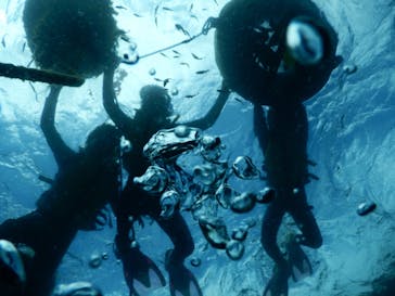 ヘイズダイブに投稿された画像（2016/8/6）