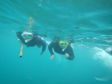 ヘイズダイブに投稿された画像（2016/9/3）