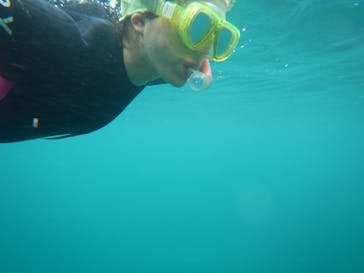 ヘイズダイブに投稿された画像（2017/8/2）