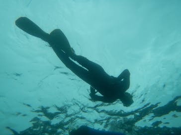 ヘイズダイブに投稿された画像（2016/9/3）