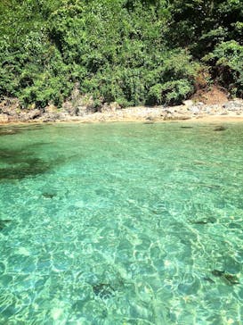 Develop SURF＆SEA（ディベロップ サーフ＆シー）に投稿された画像（2015/8/17）